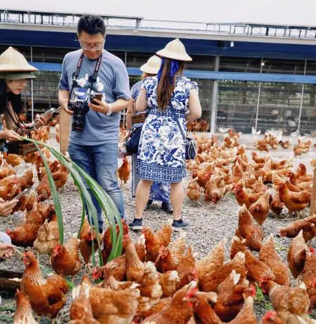 圖片來源:臺南市政府