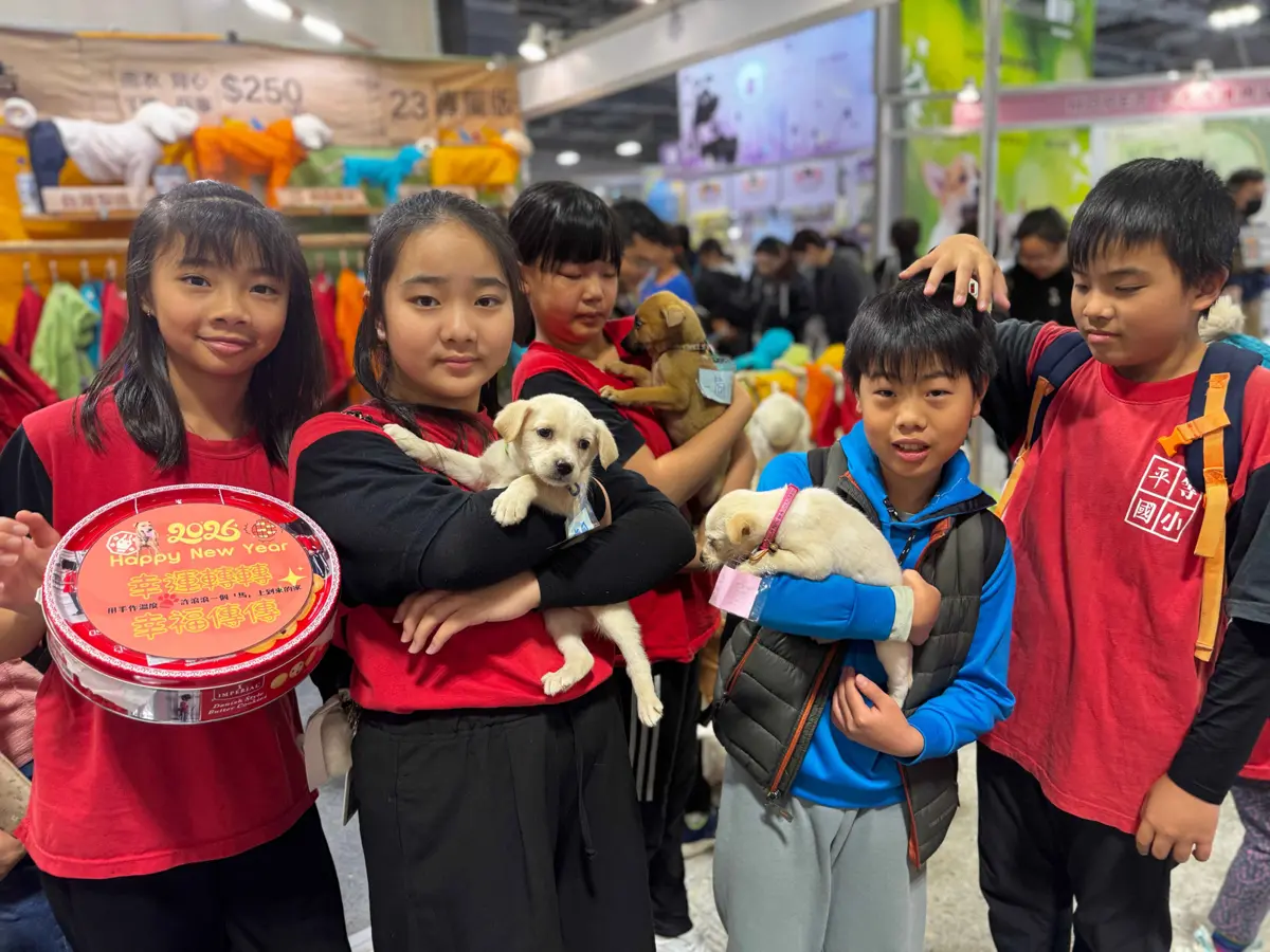 小學生帶校犬「回娘家」!士林平等國小手作地瓜幸運餅乾 暖心應援花博浪浪求包養