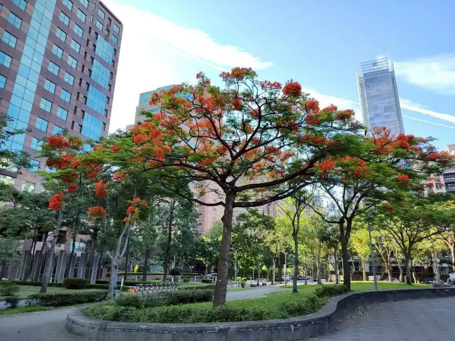 圖片來源:臺北市政府