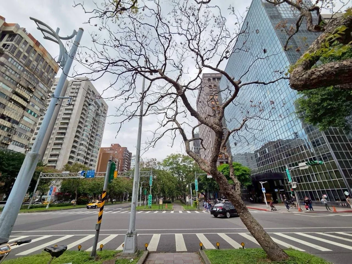 圖片來源：臺北市政府