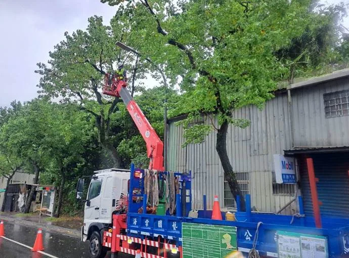 薔琵颱風逼近!內湖區2處路樹恐傾倒,公園處火速完成修剪防災
