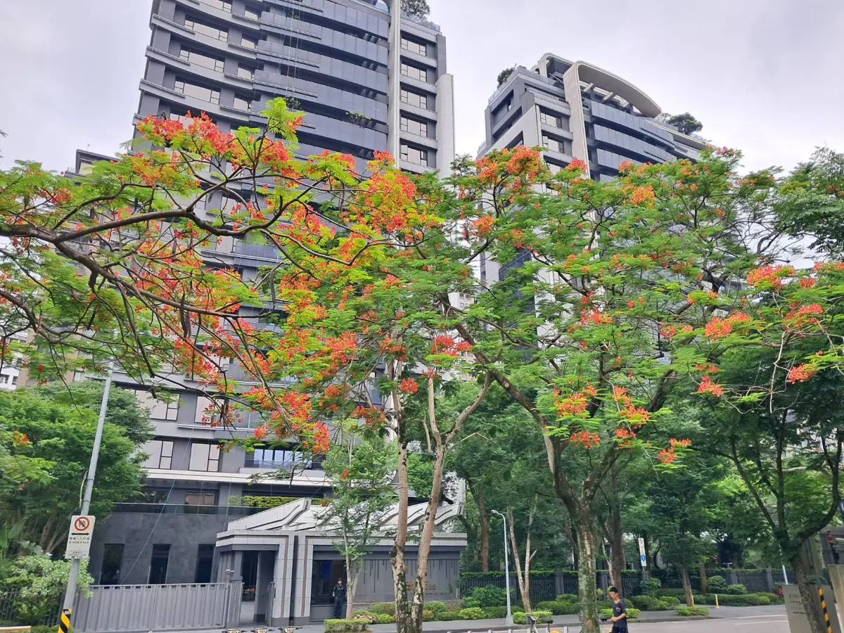 圖片來源:臺北市政府