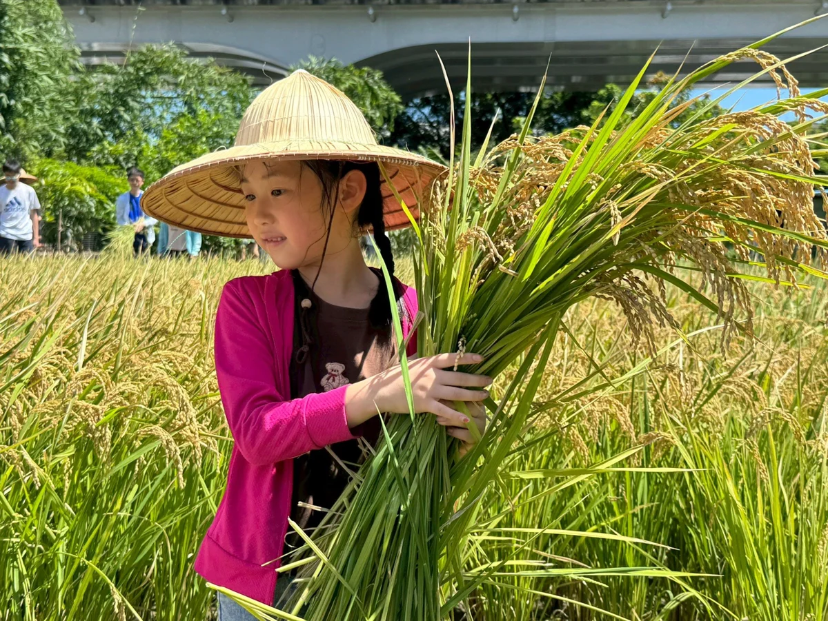 圖片來源:臺北市政府