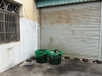 圖片來源：臺中市政府