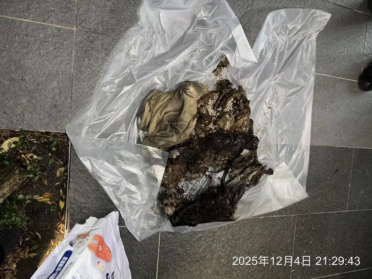 信義區恐怖寵物宅!斷電屋飄惡臭 飼主丟12貓屍遭攔截