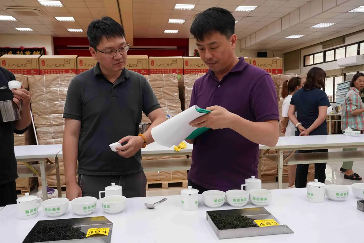 石碇包種茶王出爐！四代傳承張宏圩首奪特等獎，揭秘冠軍茶香密碼