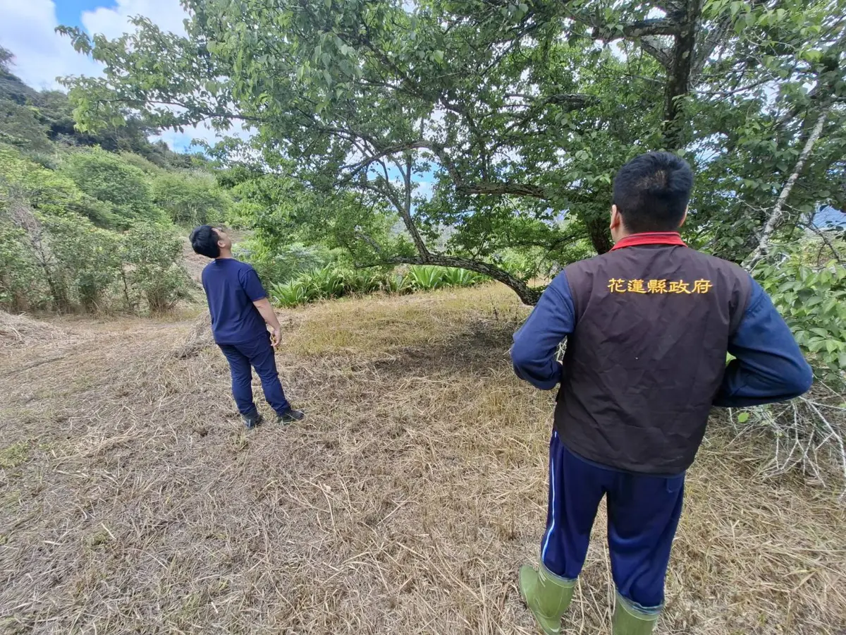 圖片來源：花蓮縣政府