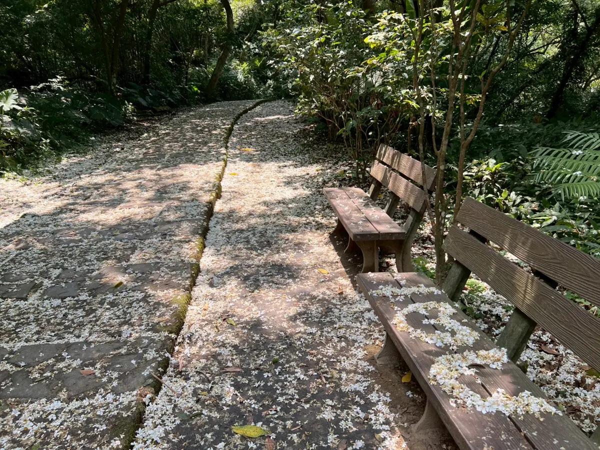 圖片來源：新北市政府