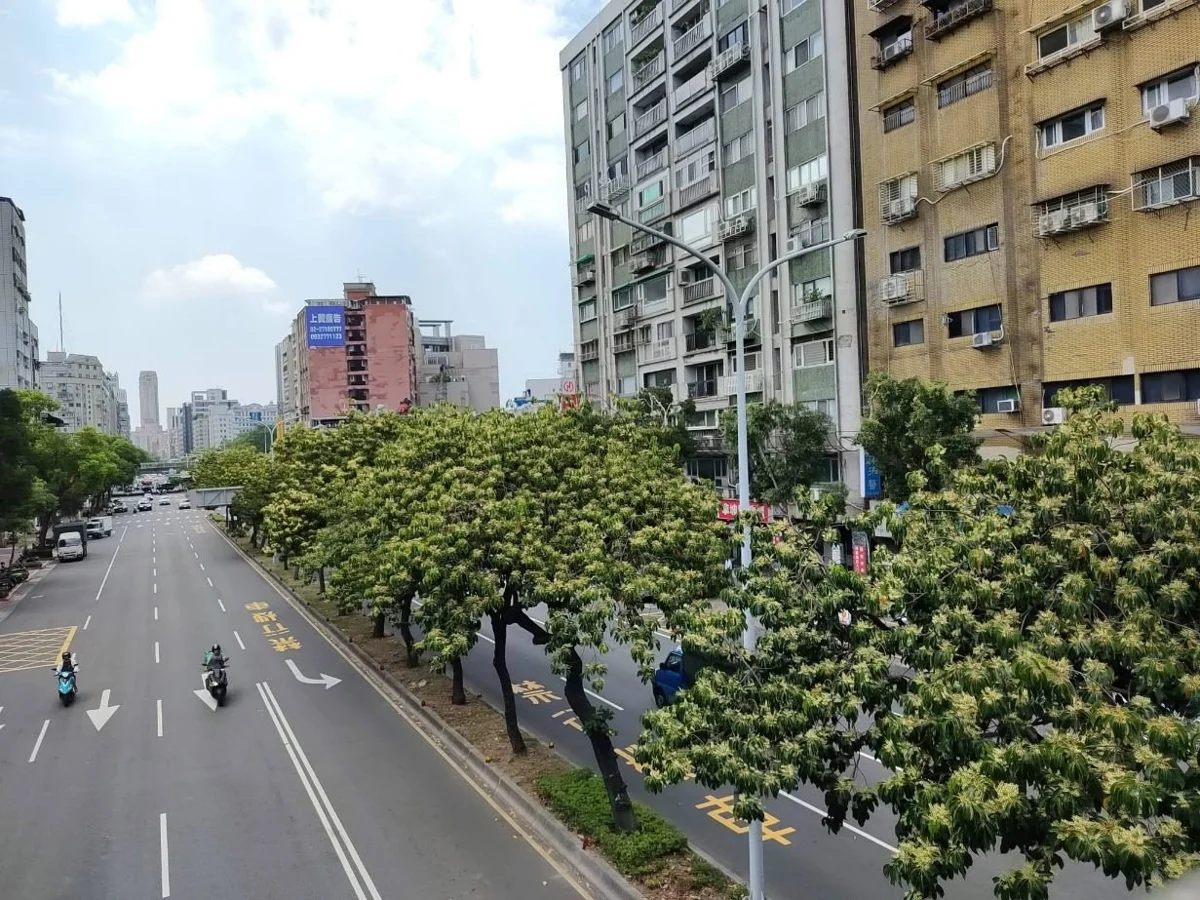 圖片來源:臺北市政府