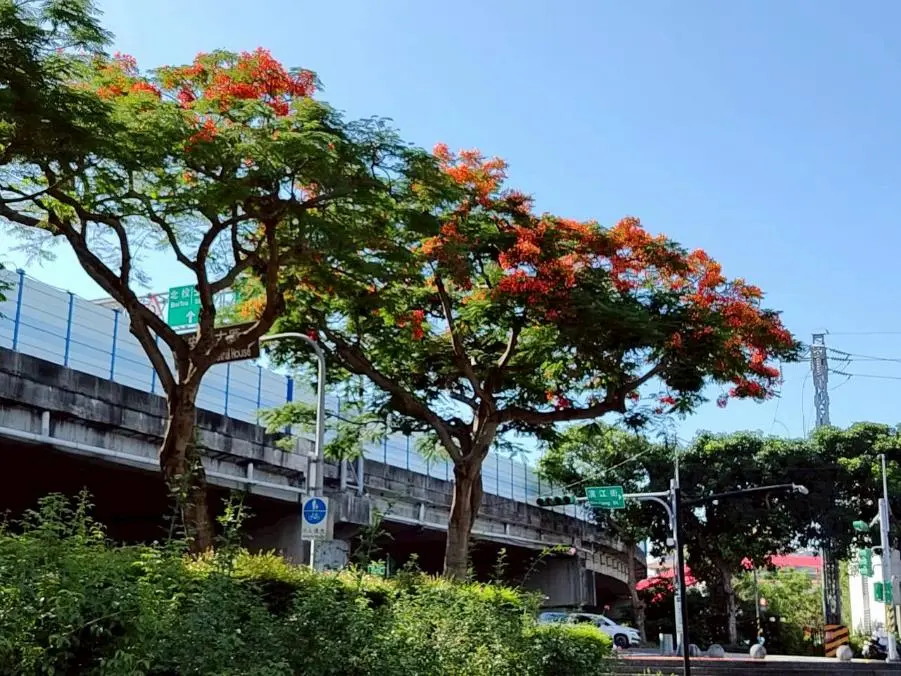 圖片來源:臺北市政府