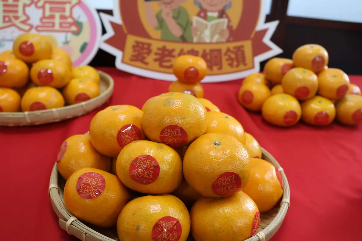 圖片來源:雲林縣政府