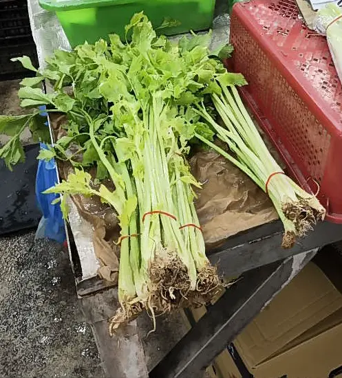 圖片來源:臺北市政府