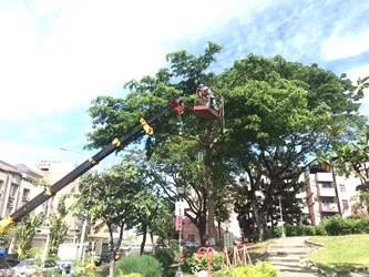 圖片來源：臺中市政府