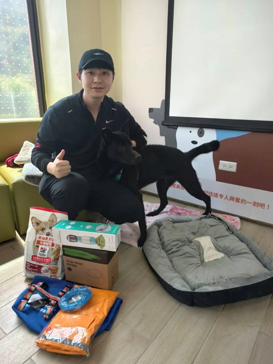 新北領養老病犬貓送2000元!再享6好禮與終生醫療,給牠一個溫暖的家