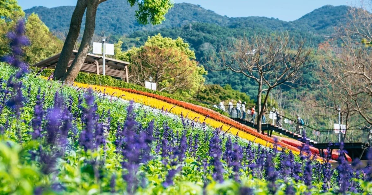 圖片來源:臺北市政府