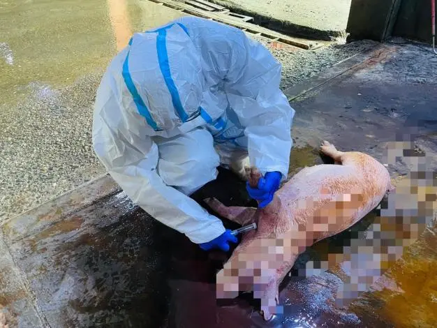 圖片來源:臺南市政府