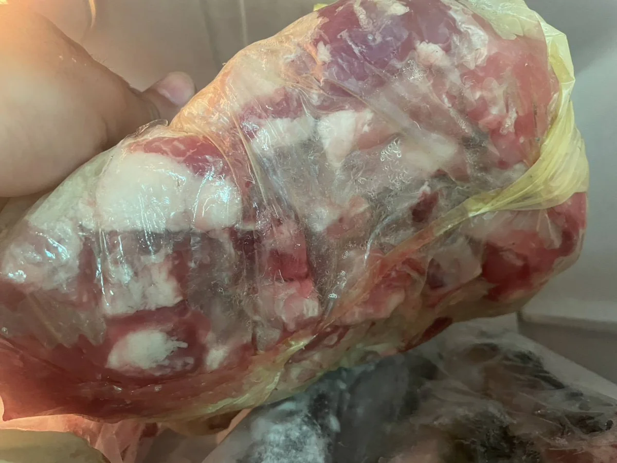 圖片來源：臺南市政府