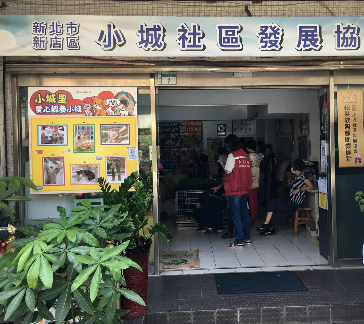 國際流浪動物日!新北動保處日均救援逾40件 助萬隻毛寶貝找新家