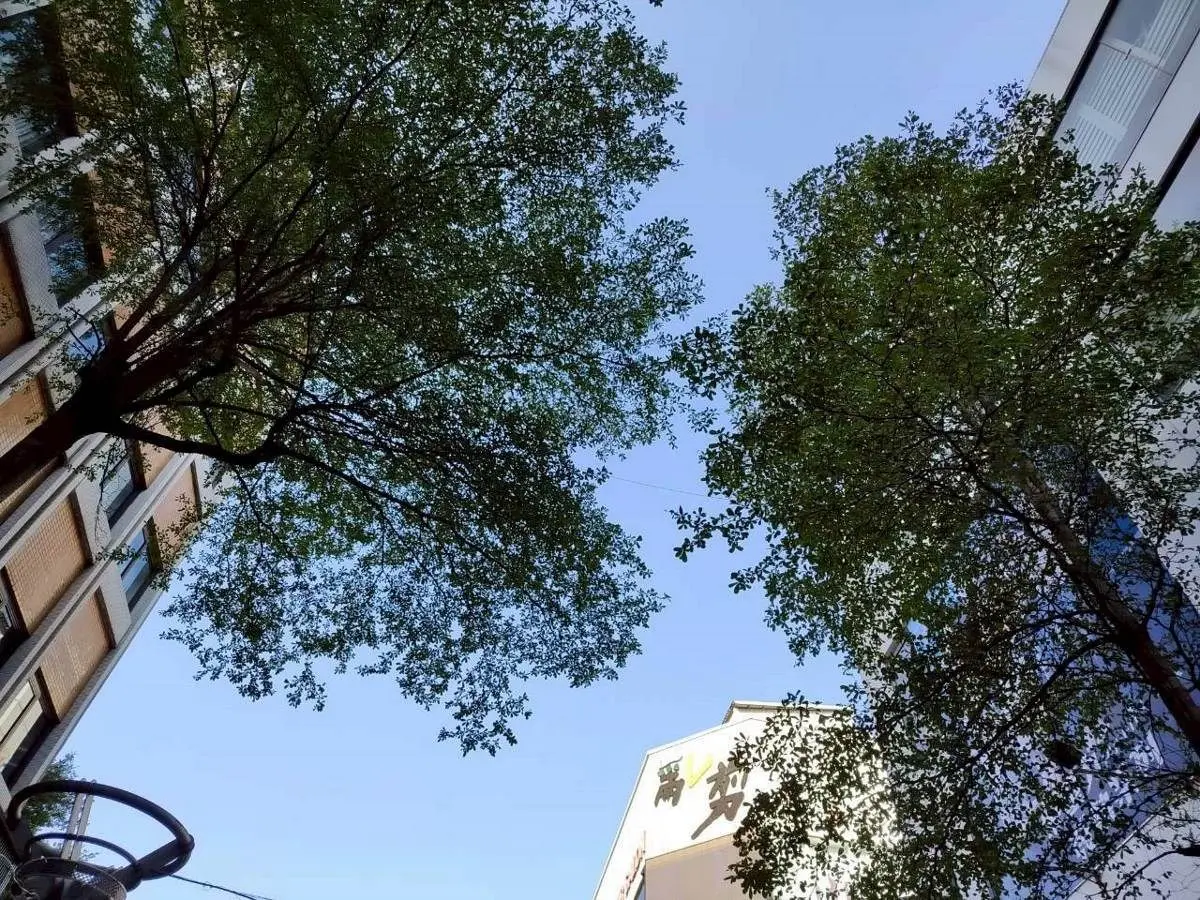 圖片來源:臺北市政府