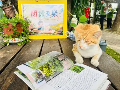 森林第一排看書!外埔清潔隊打造「榕樹下閱讀角」 讓無名英雄身心療癒
