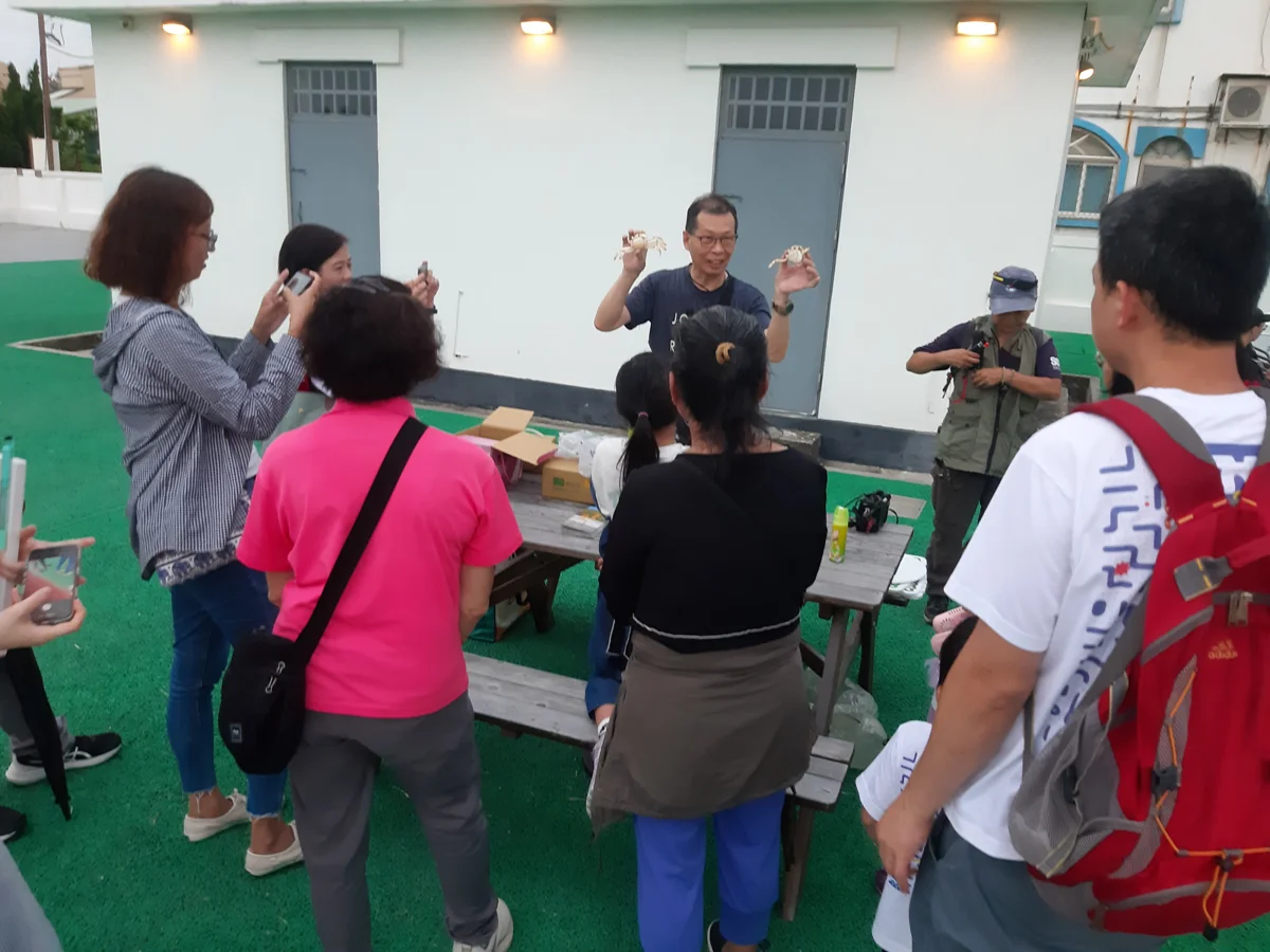 【2026最新】夏夜限定生態之旅!高美濕地「陸蟹巡守」帶你化身夜間守護者