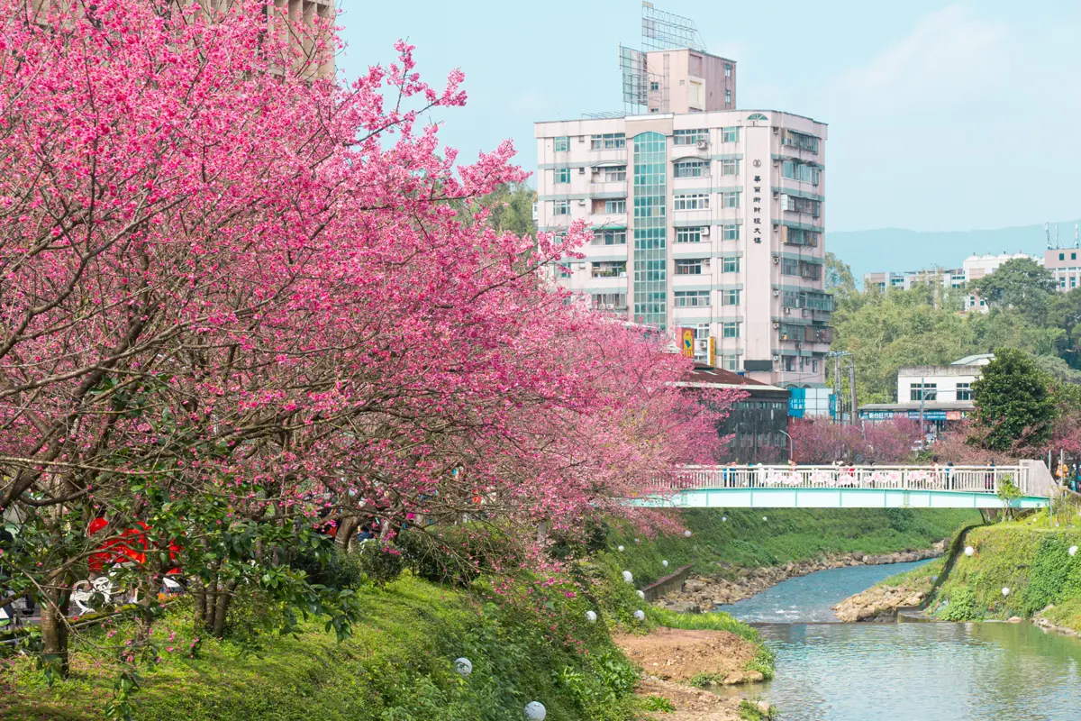 圖片來源:新北市政府