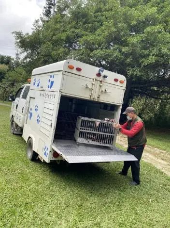 苗栗通霄爆首例!狂犬病鼬獾陳屍路邊 驚傳「遊蕩犬曾叼咬」防疫所急捕送驗