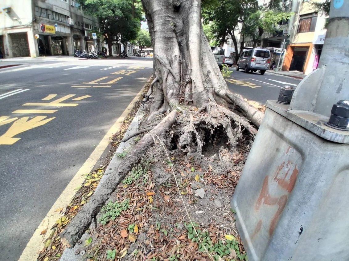 圖片來源:臺北市政府