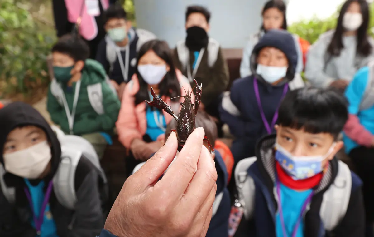 圖片來源:新北市政府