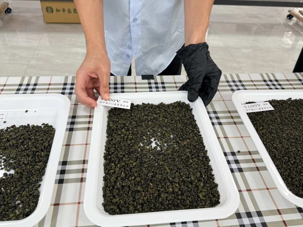 圖片來源：臺中市政府