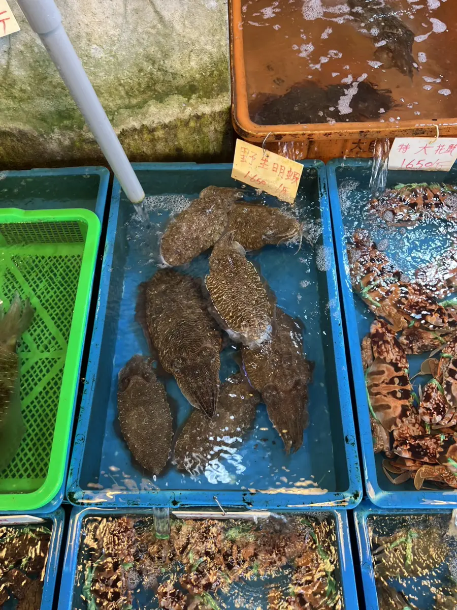 圖片來源:新北市政府
