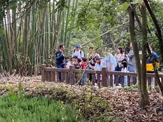 圖片來源:臺中市政府