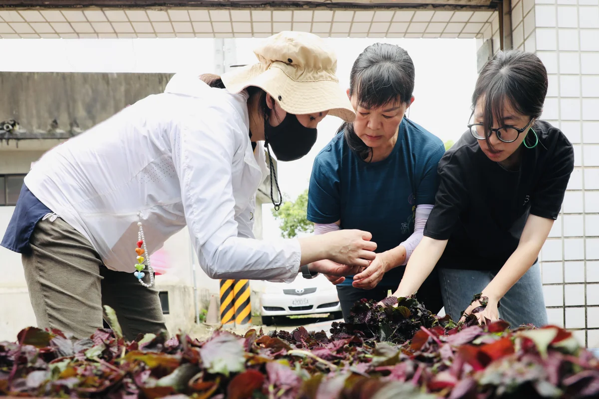圖片來源：新竹縣政府