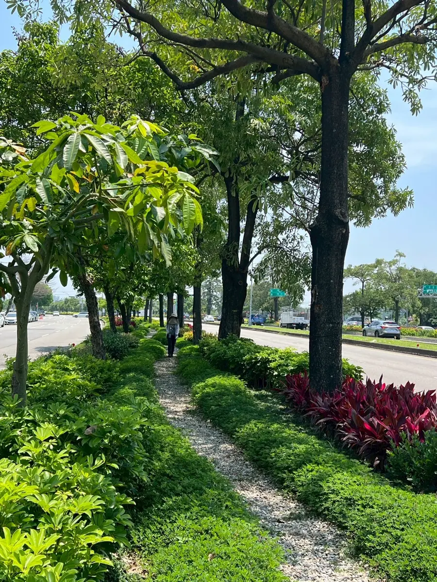 圖片來源:臺中市政府