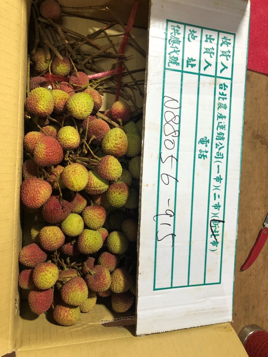 圖片來源:臺北市政府