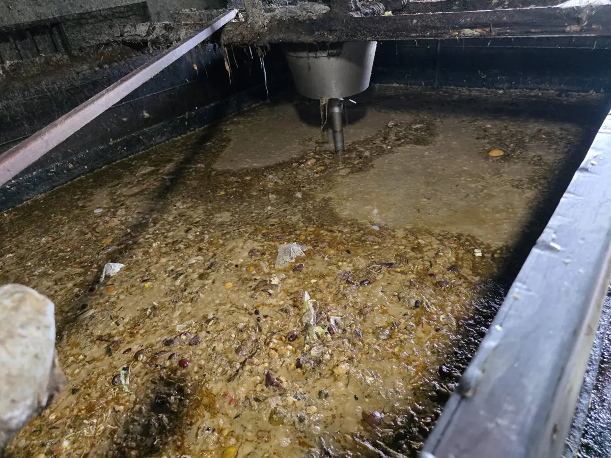 圖片來源:新北市政府