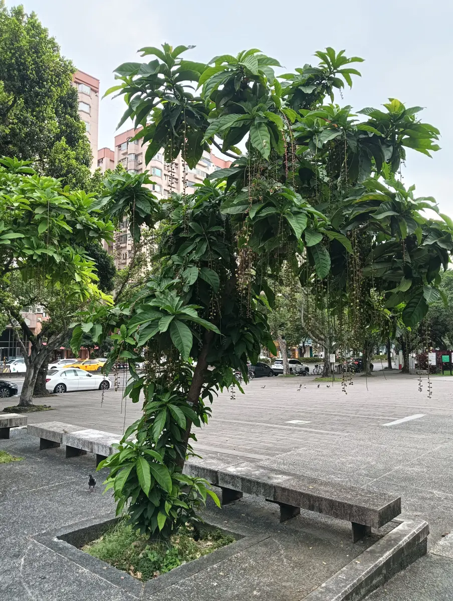 圖片來源：臺北市政府