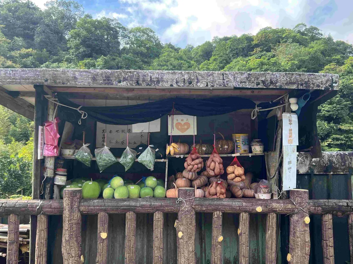 圖片來源:新北市政府