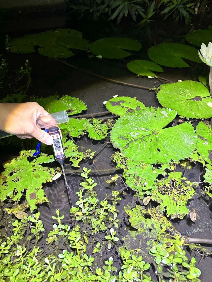圖片來源:屏東縣政府傳播暨國際事務處-最新訊息