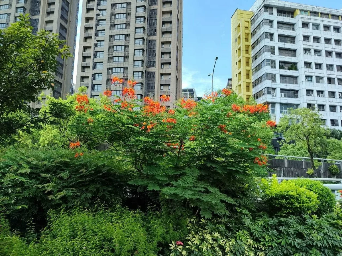 圖片來源：臺北市政府