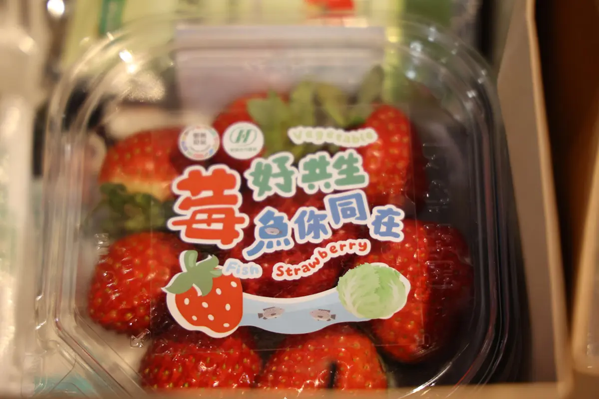 圖片來源:雲林縣政府