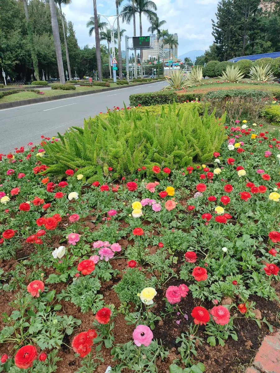 圖片來源:臺北市政府