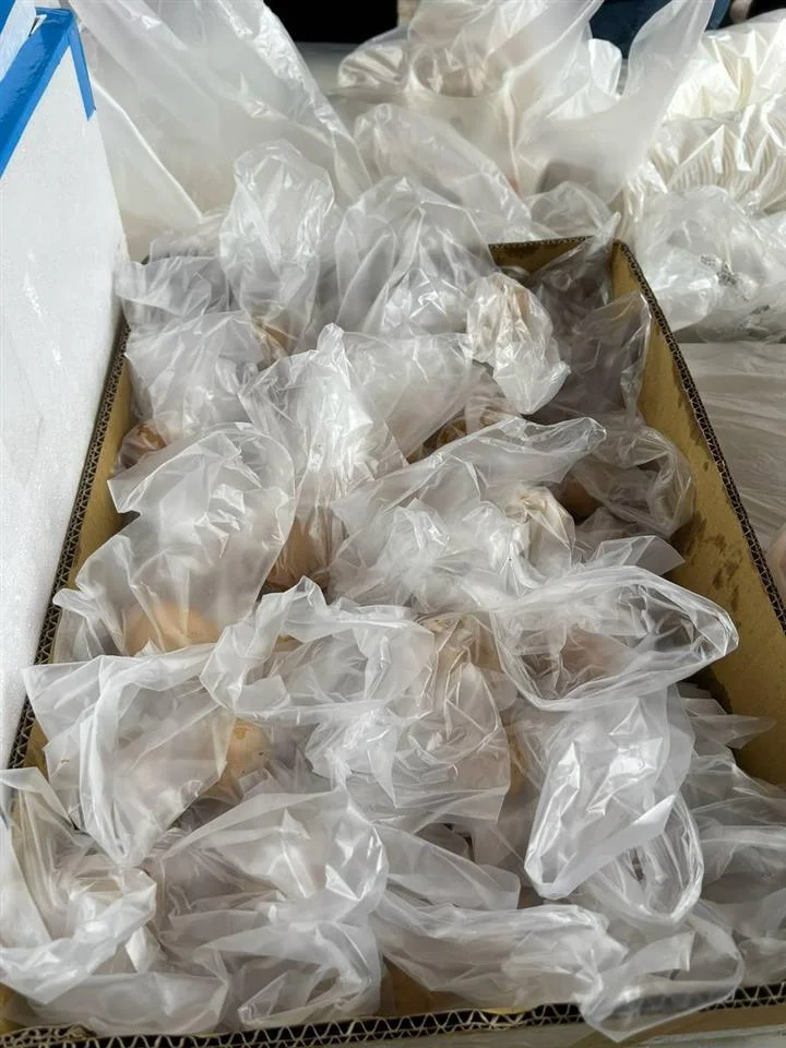 圖片來源:彰化縣政府