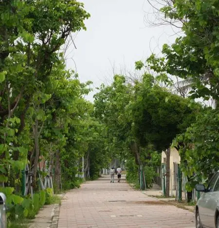 圖片來源:雲林縣政府