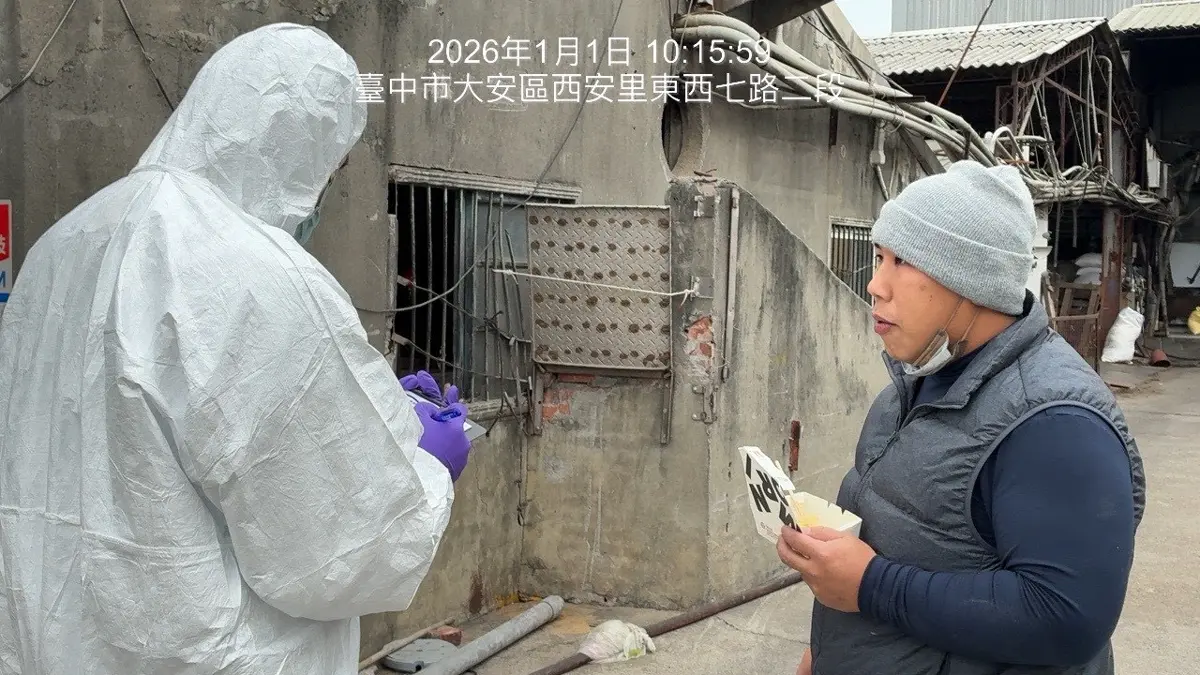 台中廚餘養豬解禁首日!環保局大陣仗突襲31場 結果全數過關