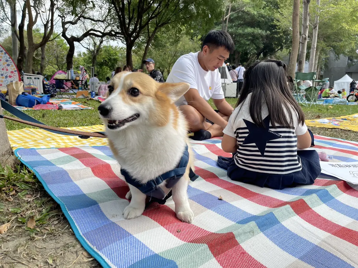 圖片來源:臺中市政府