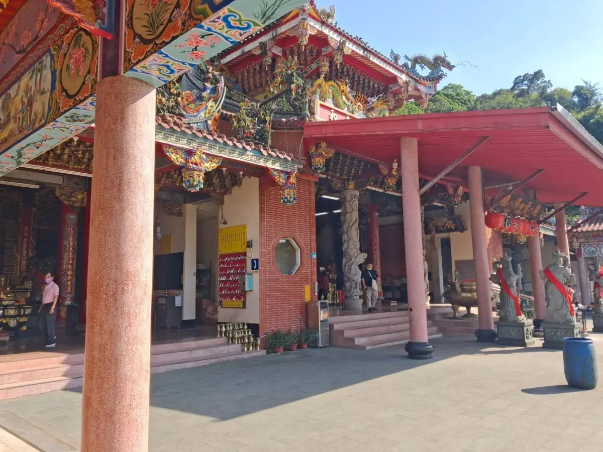 中和宗教團體違法放生2千隻鳥！新北動保處重罰15萬：放生形同棄養