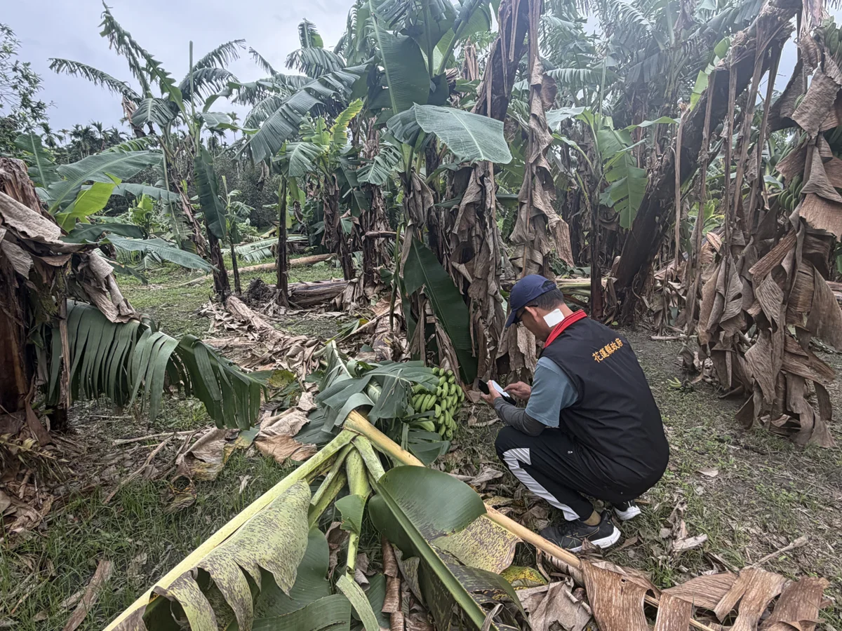 圖片來源：花蓮縣政府