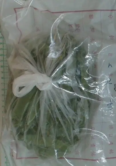 圖片來源：臺北市政府