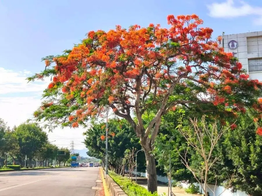 圖片來源:臺北市政府